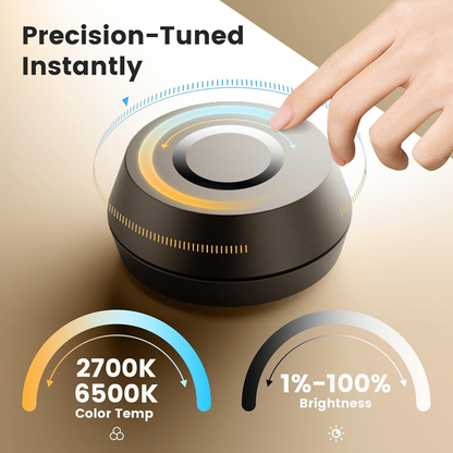 LitONES Home Office Light with Clamp